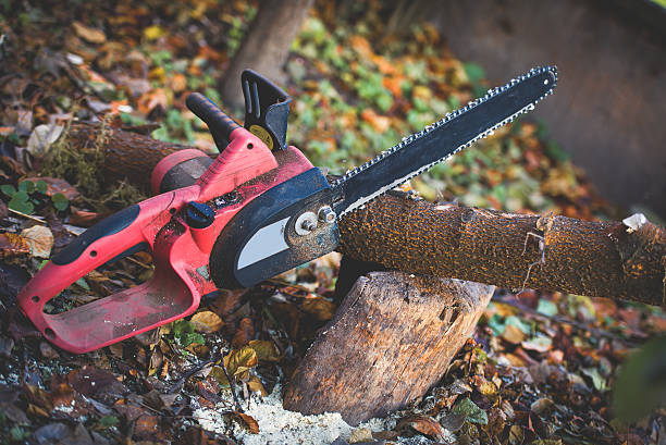Best Seasonal Cleanup (Spring/Fall)  in Lampeter, PA